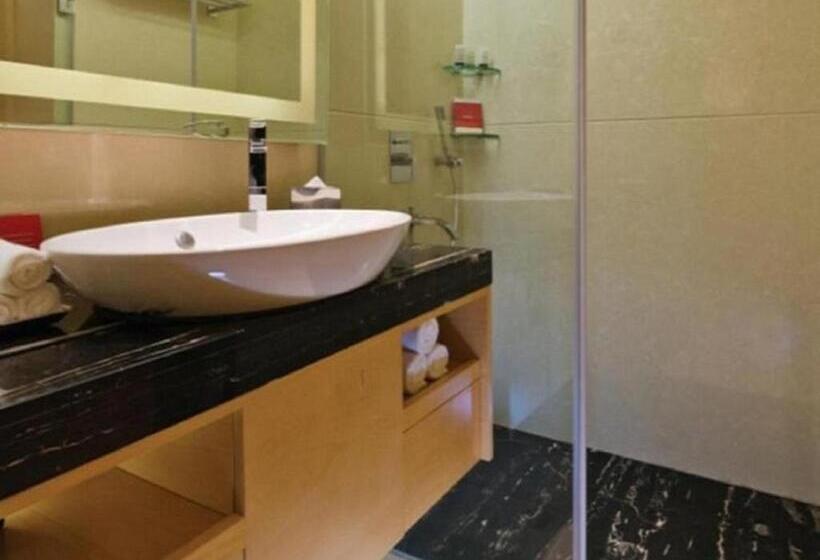 标准间, Sayaji Raipur