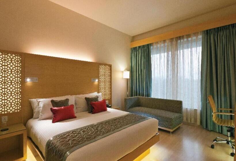 标准间, Sayaji Raipur