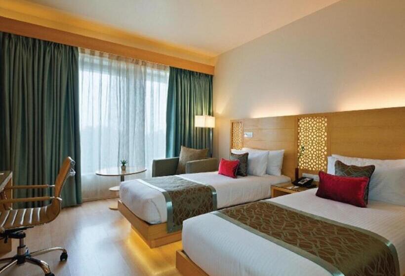 标准间, Sayaji Raipur