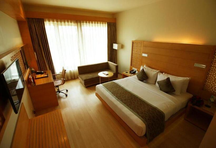 标准间, Sayaji Raipur