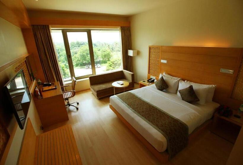 标准间, Sayaji Raipur