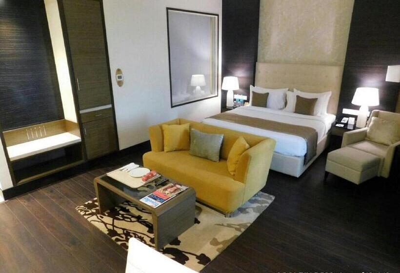 高级客房, Sayaji Raipur