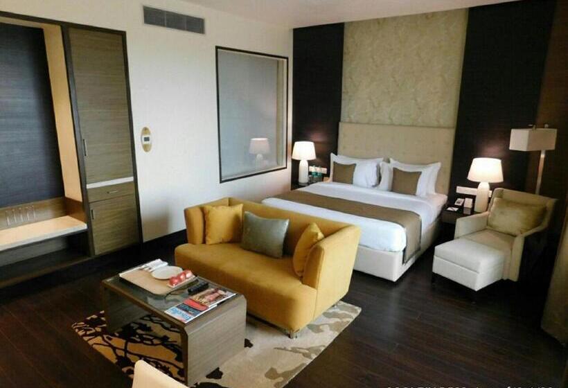 高级客房, Sayaji Raipur