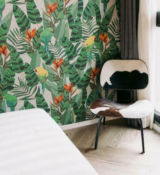 اتاق استاندارد, Collini Rooms