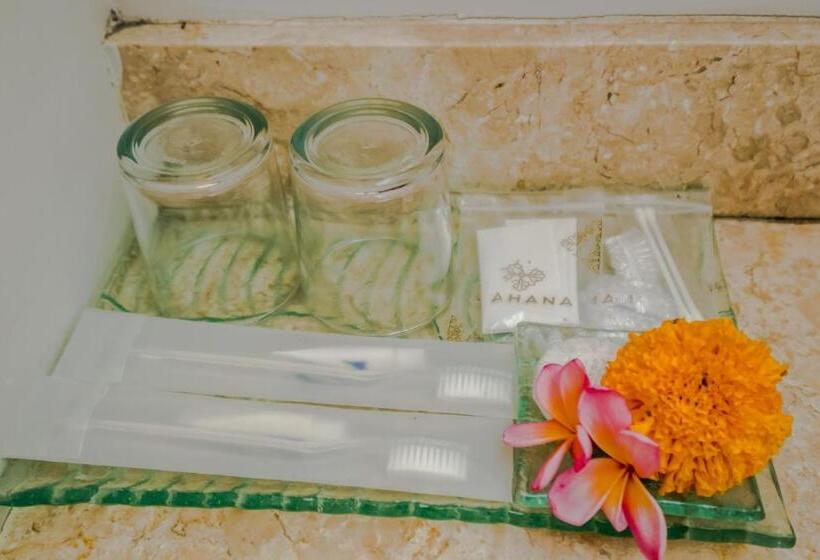 غرفة ديلوكس, Mahana Living