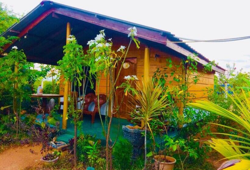 Habitació Triple Deluxe, Sunn Top Cabana