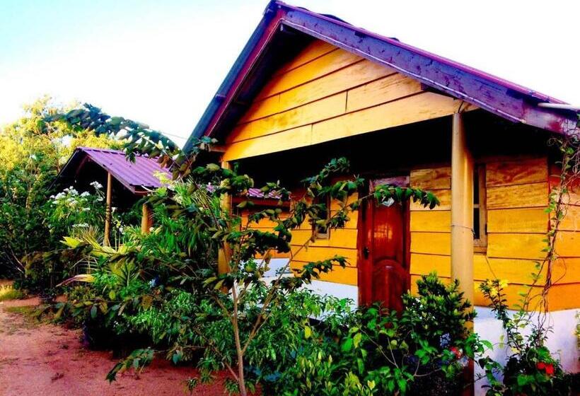 Habitació Economy, Sunn Top Cabana