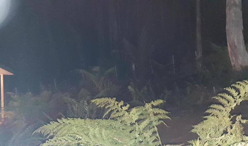 غرفة قياسية مزوَّدة بجاكوزي, Cradle Alpine Retreat