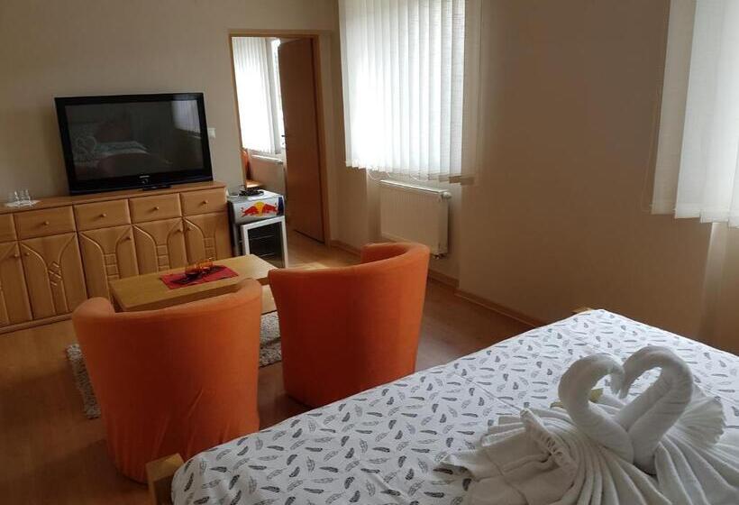 豪华房间, Baník Handlová