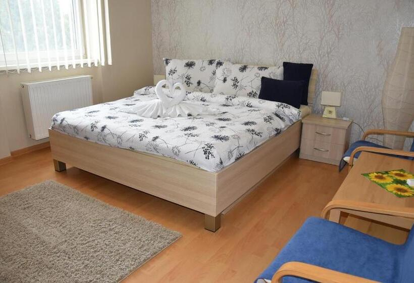 豪华房间, Baník Handlová