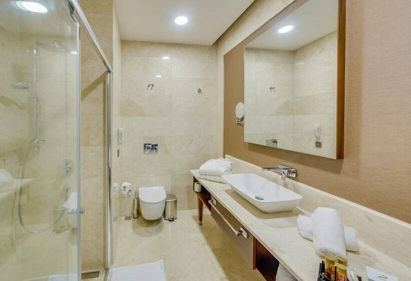 اتاق اکونومی, Demircioğlu Park