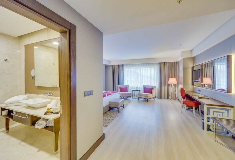 اتاق استاندارد, Demircioğlu Park