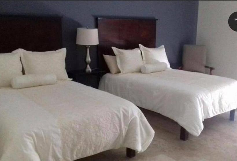 Номер Стандарт, Grann