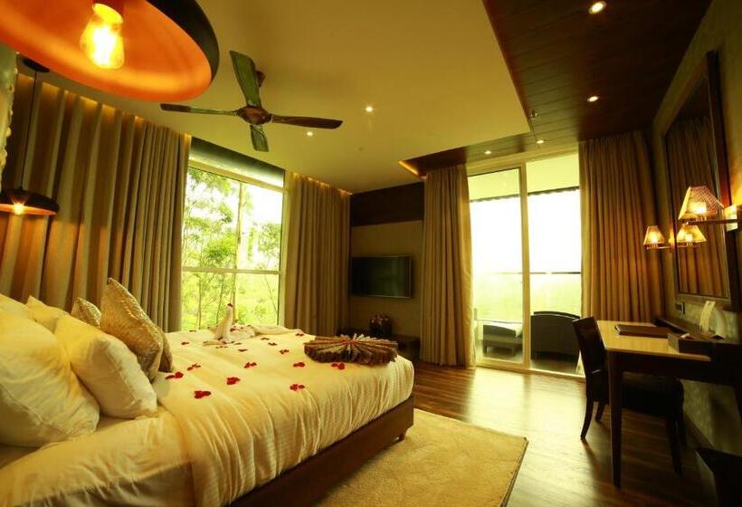 اتاق استاندارد با تخت بزرگ, Blanket Hotel & Spa