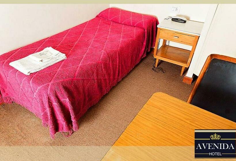 Номер Стандарт Индивидуальный, Avenida