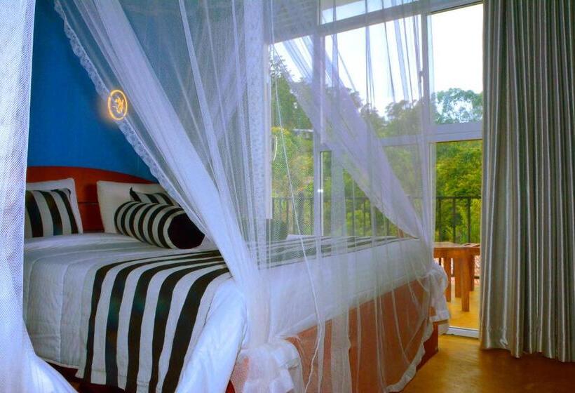 Habitación Familiar, Alrich Ella