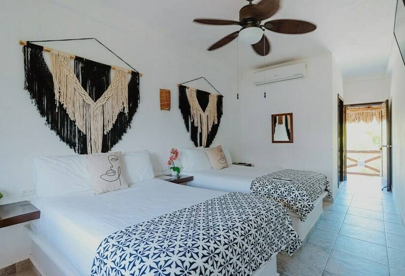 اتاق استاندارد, Boutique Casa Baleine