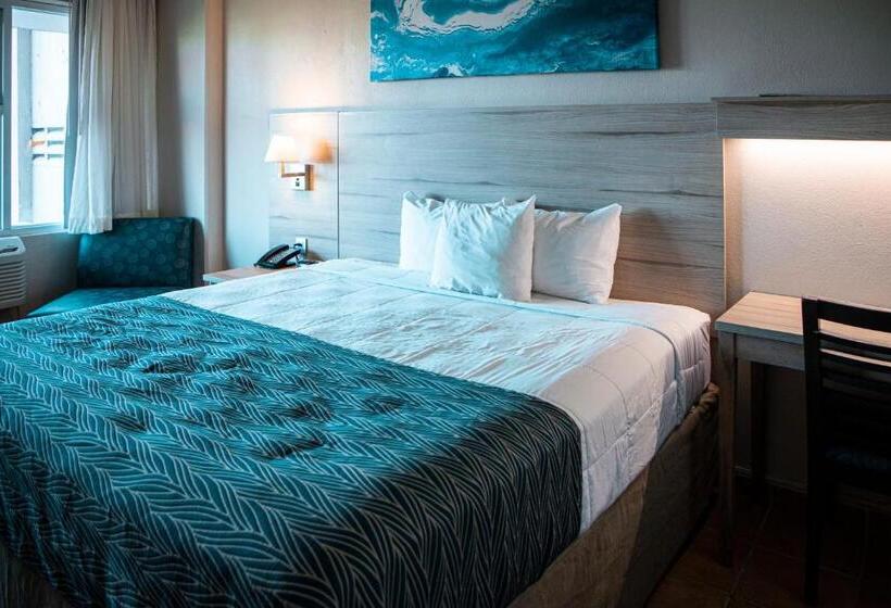 اتاق لوکس یک تخته, Punta Borinquen Resort