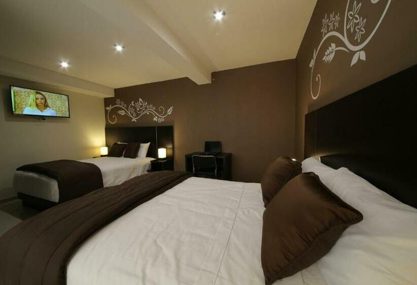 Номер Deluxe, Solec