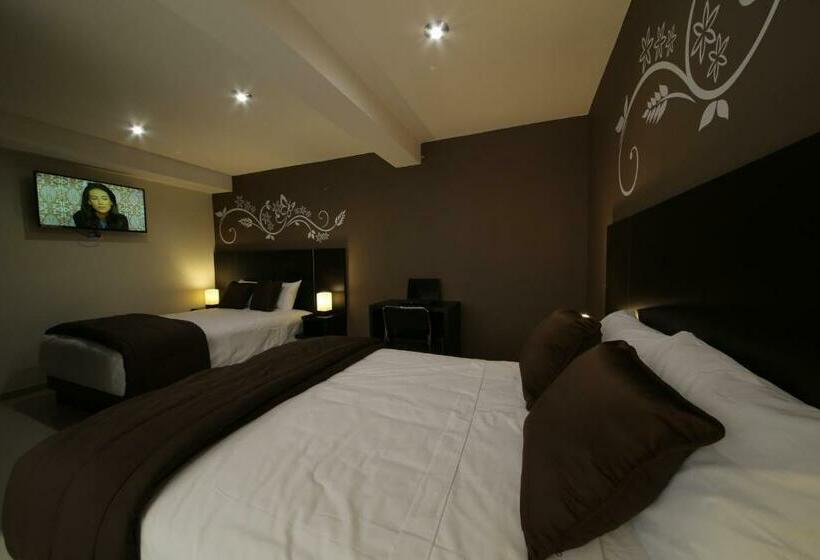 Номер Deluxe, Solec