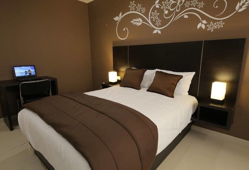 Номер Стандарт, Solec