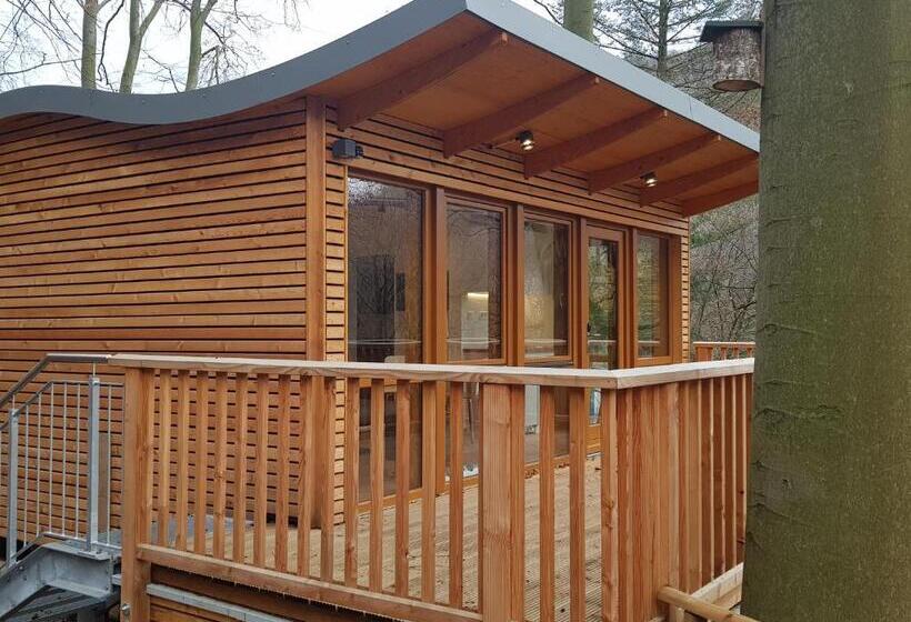 Quarto Estandar, Sonnenresort Ettershaus