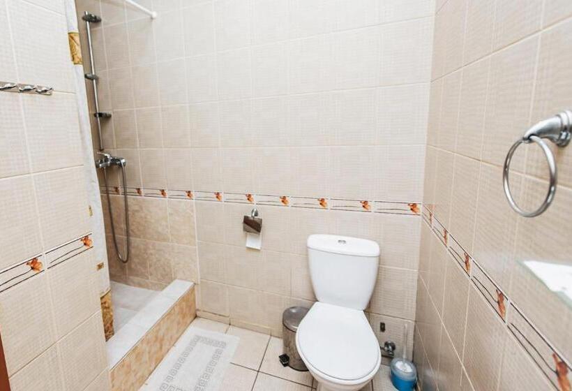 اتاق استاندارد, Mini Hotel Smak