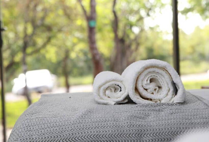 اتاق استاندارد با چشمانداز باغ, Bushbaby Lodge At Nkonyeni