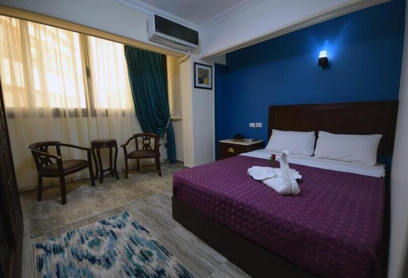 اتاق استاندارد یک نفره, Amin