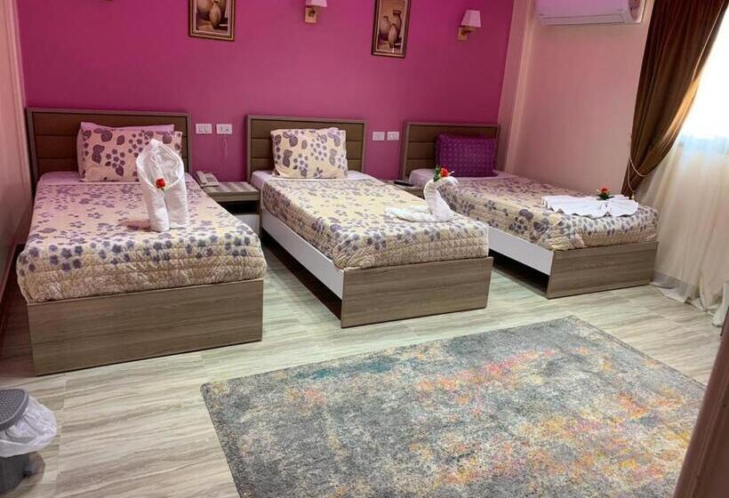 اتاق استاندارد سه نفره, Amin