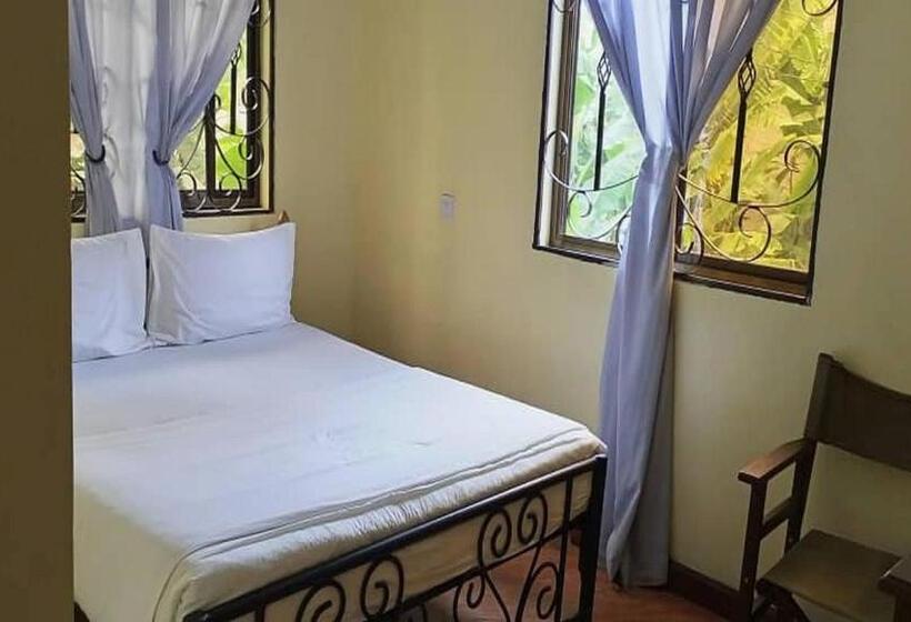 اتاق اکونومی یک تخته, Bright Star