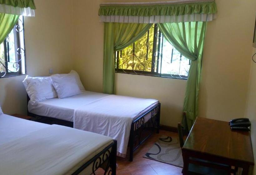 اتاق اکونومی, Bright Star