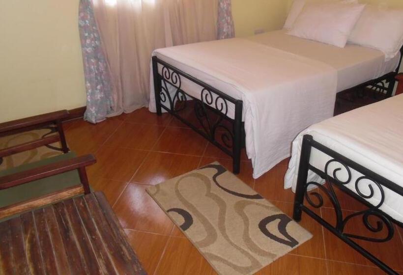 اتاق اکونومی, Bright Star