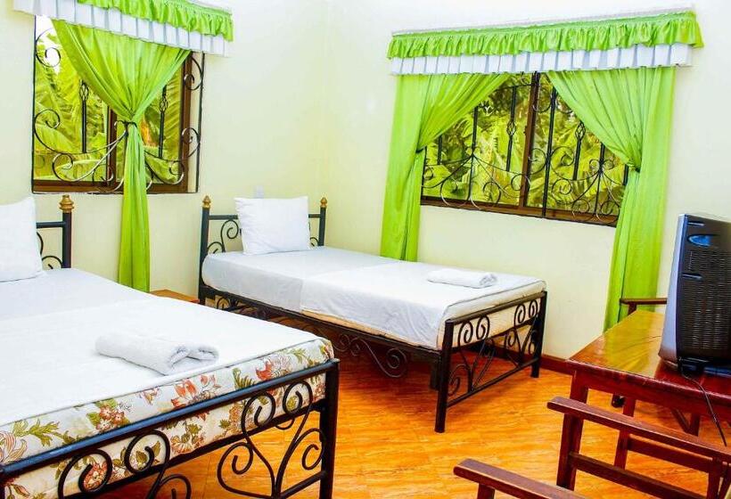 اتاق اکونومی, Bright Star