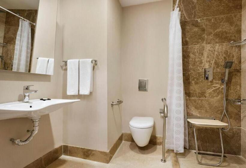 اتاق استاندارد با تخت بزرگ, Ramada Encore Gebze