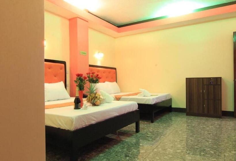 سوییت خانوادگی, Rsg Micro