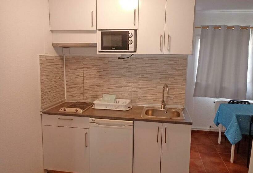 آپارتمان 1 خوابه, Complejo Bubal Formigal 3000