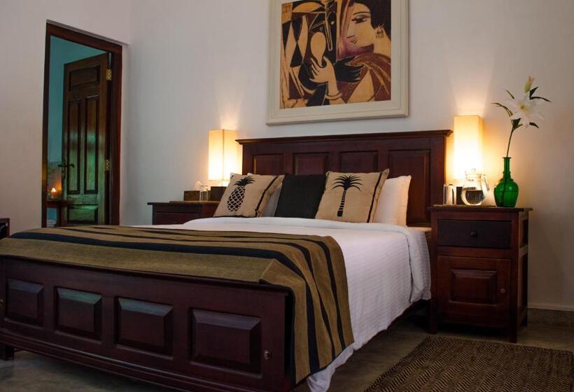 Номер Стандарт, Fox Jaffna