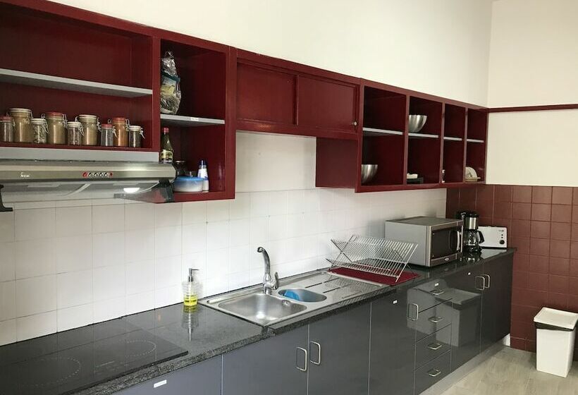 تختخواب در اتاق مشترک, Urban Garden Porto Central Hostel