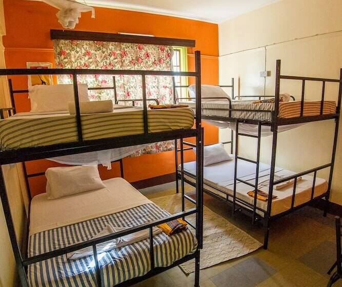 تختخواب در اتاق مشترک, We Travel Hostel