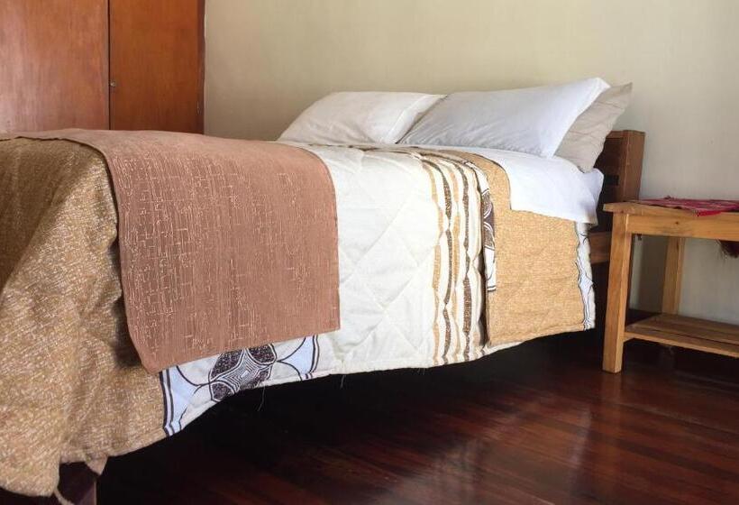 اتاق استاندارد, Spanish Friends