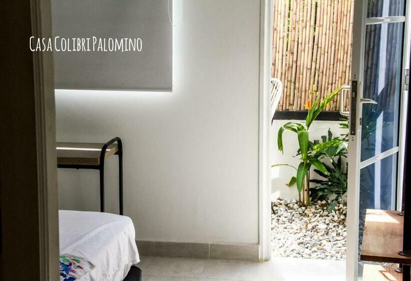 Superior Room with Terrace, Casa Colibri Palomino