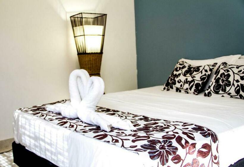 Superior Room with Terrace, Casa Colibri Palomino