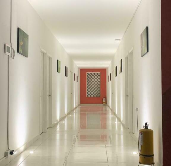 Superior Room with Terrace, Casa Colibri Palomino