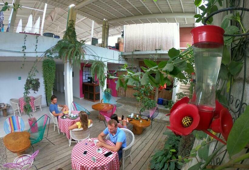 Superior Room with Terrace, Casa Colibri Palomino