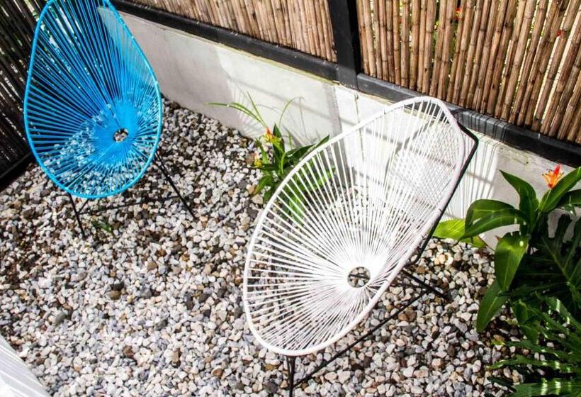 Superior Room with Terrace, Casa Colibri Palomino