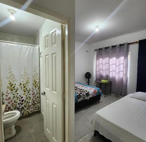 Superior Room with Terrace, Casa Colibri Palomino