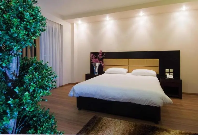 اتاق استاندارد یک نفره, Giotis Boutique