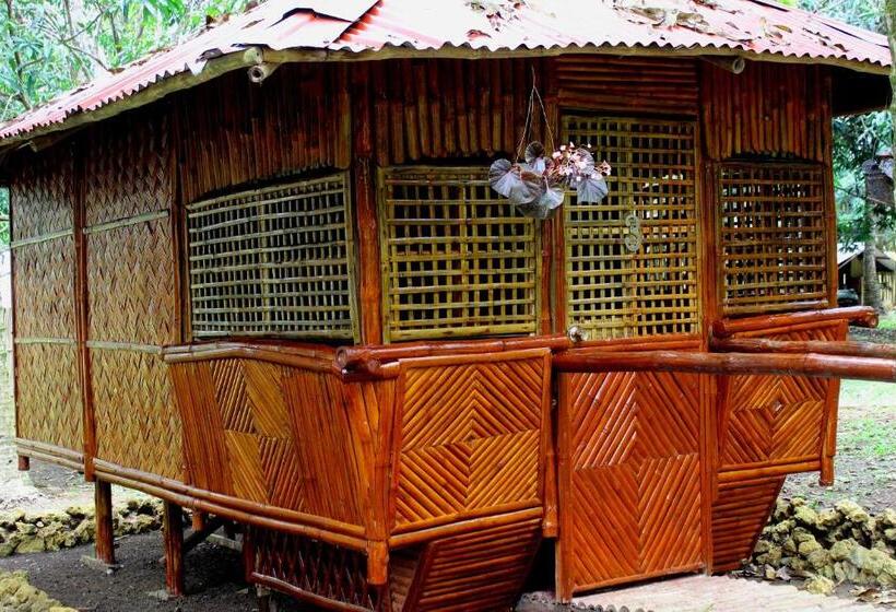 标准间, Al Hamra Jungle Resort