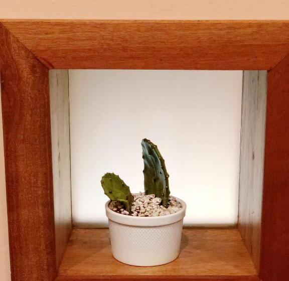 베이직 3인 룸, Casitas Pacific